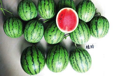 南宁今日吃瓜新闻,今日热点吃瓜新闻盘点