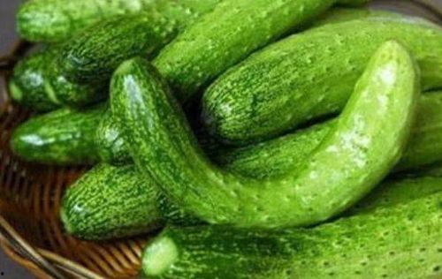 calvin吃瓜,一场吃瓜引发的欢乐盛宴