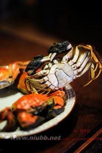 螃蟹吃瓜,一场味蕾的盛宴