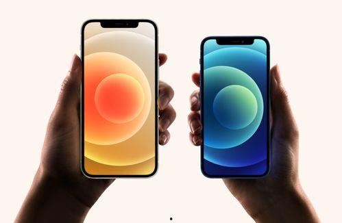 满足吃瓜的手机,揭秘满足吃瓜需求的智能利器