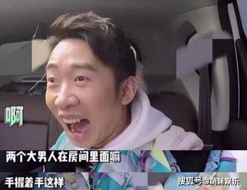 吃明星瓜,明星们的甜蜜与苦涩瓜