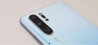 吃瓜群苹果手机,吃瓜群中的时尚宠儿