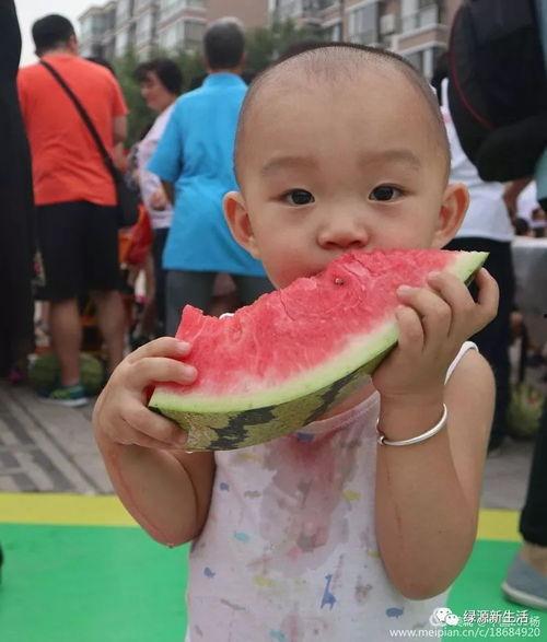 和尚吃瓜图片大全,趣味横生，揭秘佛门弟子日常趣事