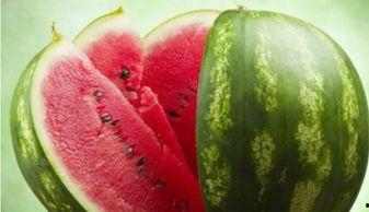 北美吃瓜不打伞视频,无伞吃瓜，夏日风情别样浓