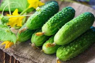 问答 吃瓜,一场全民参与的问答盛宴