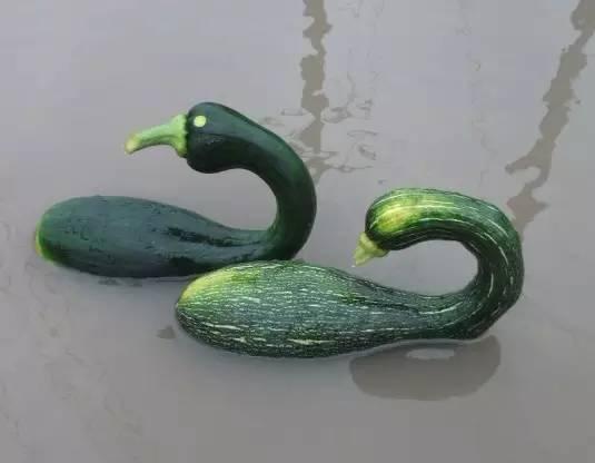 吃瓜怂仔,揭秘网络热议背后的真实故事