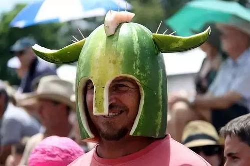 怎么玩吃瓜比赛,轻松上手，一起挑战吃瓜大赛！