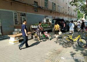 库尔勒楼顶吃瓜群众,见证城市变迁的民间视角