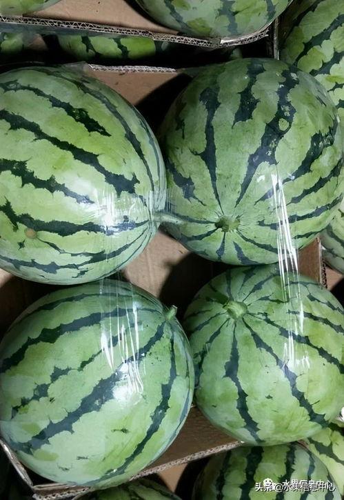 2021吃的瓜,年度热点事件回顾