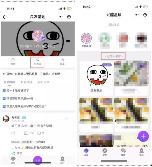 吃瓜爆料网站吃瓜网,吃瓜网带你领略明星幕后故事