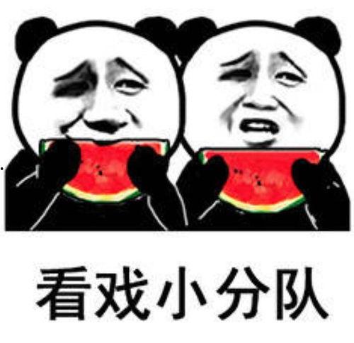 泰国吃瓜表情包