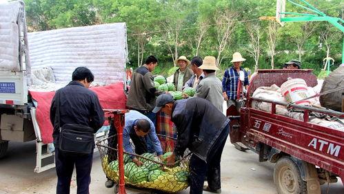 曹县的吃瓜群众,揭秘当地独特饮食文化