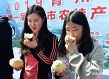 kis吃瓜在意组合,揭秘娱乐圈背后的真实故事