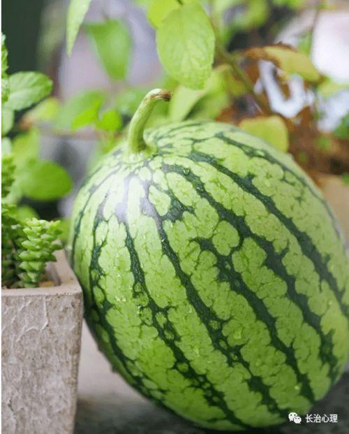 今年吃瓜心态,吃瓜群众视角下的娱乐圈风云录