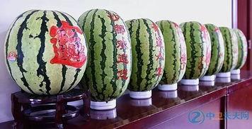 硒砂瓜怎么分开吃,解锁美味新境界