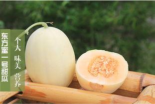 吃口小蜜瓜,甜蜜滋味尽享时光