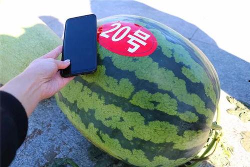 带你吃大瓜联名,带你尝鲜“带你吃大瓜”联名美食盛宴