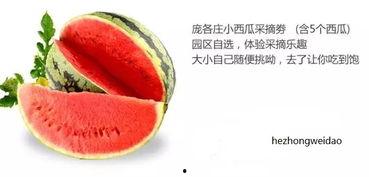 禾禾吃瓜,揭秘瓜界那些事儿