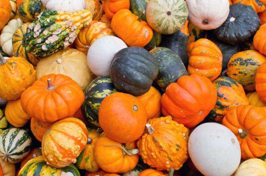 扶手瓜可以大量吃吗,大量食用是否适宜？揭秘其营养与食用指南