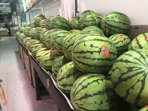 扶手瓜可以大量吃吗,大量食用是否适宜？揭秘其营养与食用指南