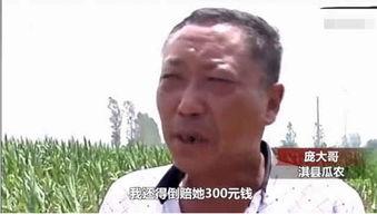 守候者吃瓜群众,揭秘网络舆论场的双面人生