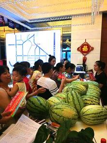 守候者吃瓜群众,揭秘网络舆论场的双面人生