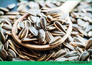 吃瓜照片瓜子,一窥瓜子背后的吃瓜故事