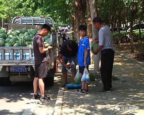 芒市吃瓜群众,吃瓜群众的麻辣点评