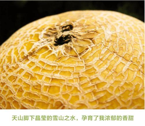 开瓜神器吃哈密瓜,哈密瓜美味尽在掌握