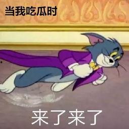 当精神小伙吃瓜