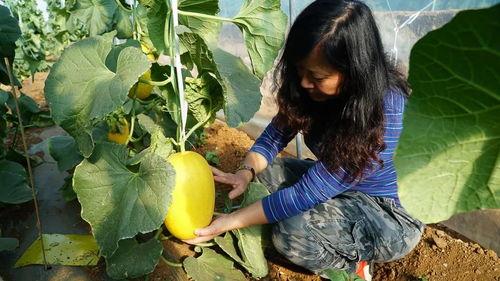 带你吃瓜改编古诗,古风新韵话瓜界风云