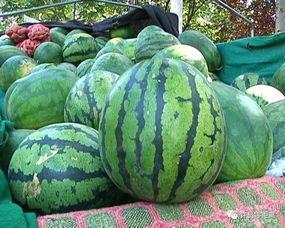 吃熟瓜会怎么样,吃熟瓜的益处与注意事项