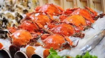 海辰吃瓜俱乐部,揭秘娱乐圈幕后故事，带你领略明星真实生活