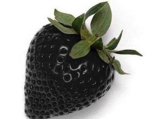 黑吃料吃瓜爆料合集,娱乐圈幕后风云录