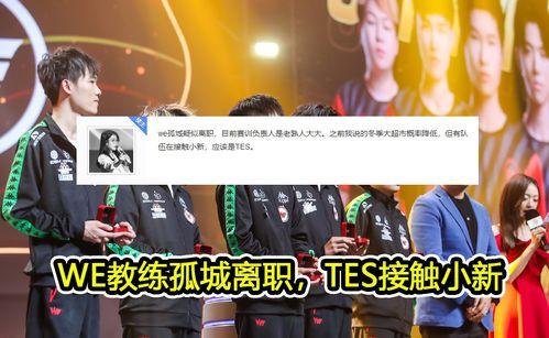 ttg吃瓜妖刀,揭秘娱乐圈背后的神秘故事