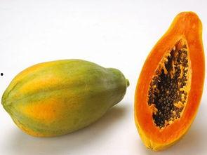 洛神大人吃瓜,揭秘宫廷秘闻背后的真相