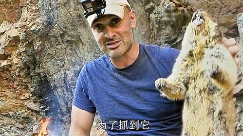 德爷吃瓜,揭秘娱乐圈那些不为人知的幕后故事